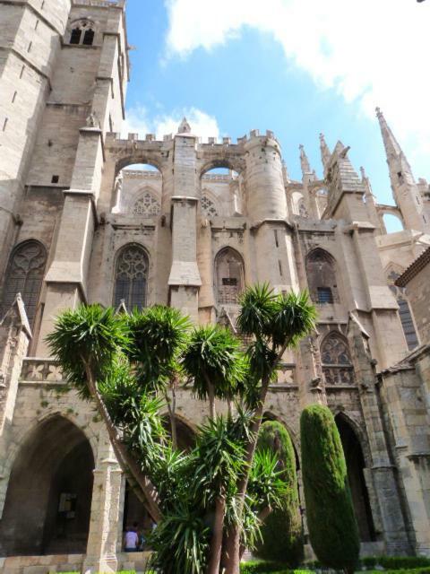 A L'Ombre De La Cathedrale Apartment Narbonne Luaran gambar